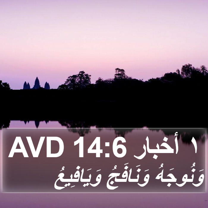 ١ أخبار 14:6 AVD Bible Study