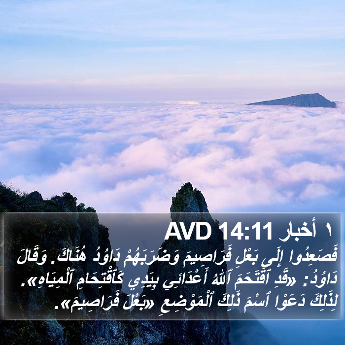 ١ أخبار 14:11 AVD Bible Study