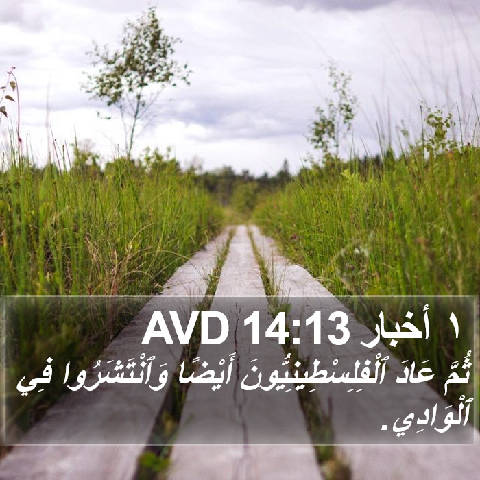 ١ أخبار 14:13 AVD Bible Study