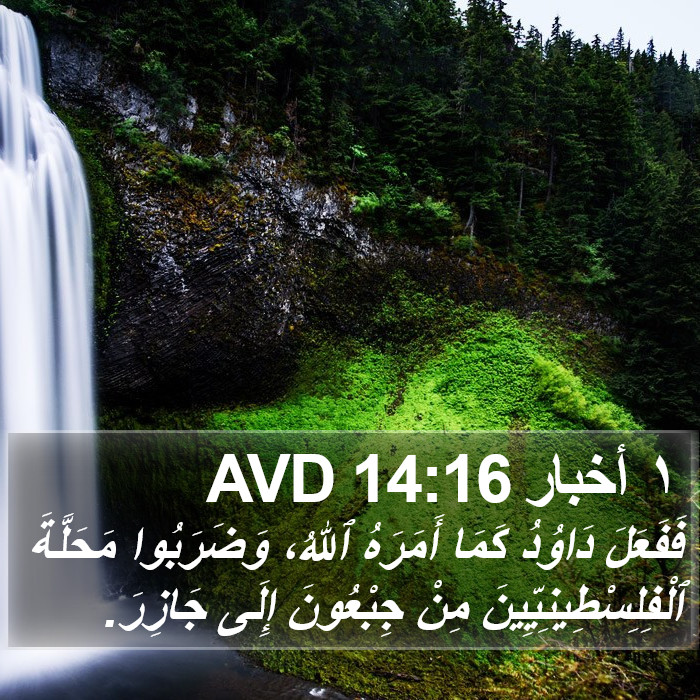 ١ أخبار 14:16 AVD Bible Study