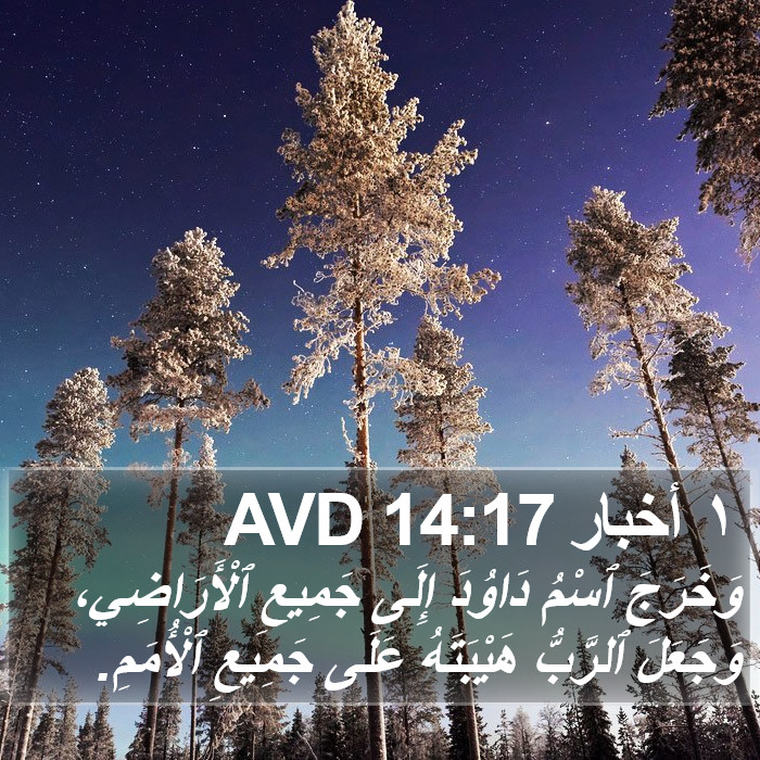 ١ أخبار 14:17 AVD Bible Study