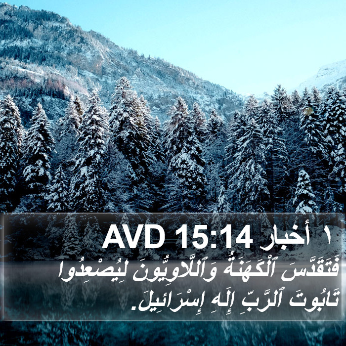١ أخبار 15:14 AVD Bible Study