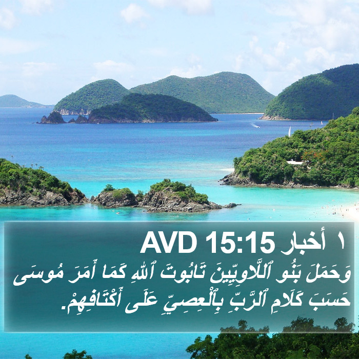 ١ أخبار 15:15 AVD Bible Study
