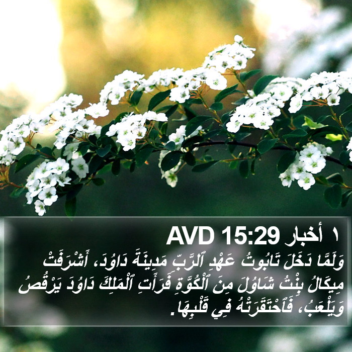 ١ أخبار 15:29 AVD Bible Study
