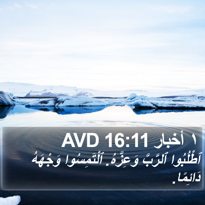 ١ أخبار 16:11 AVD Bible Study