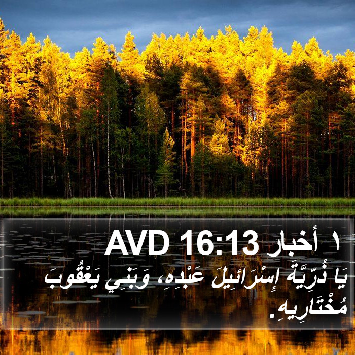١ أخبار 16:13 AVD Bible Study