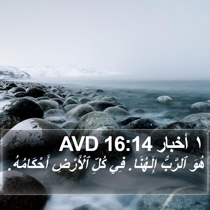 ١ أخبار 16:14 AVD Bible Study