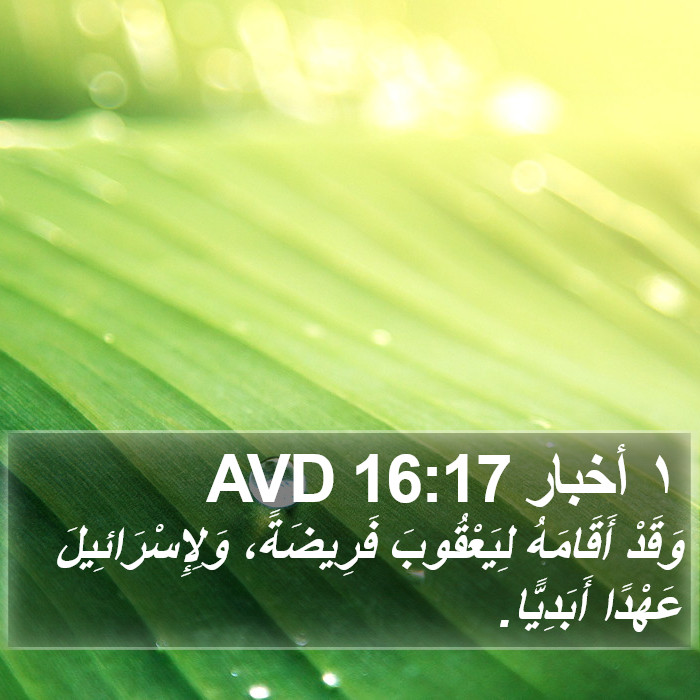 ١ أخبار 16:17 AVD Bible Study
