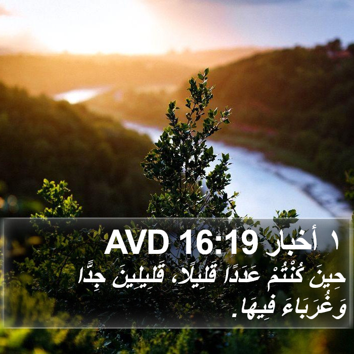 ١ أخبار 16:19 AVD Bible Study