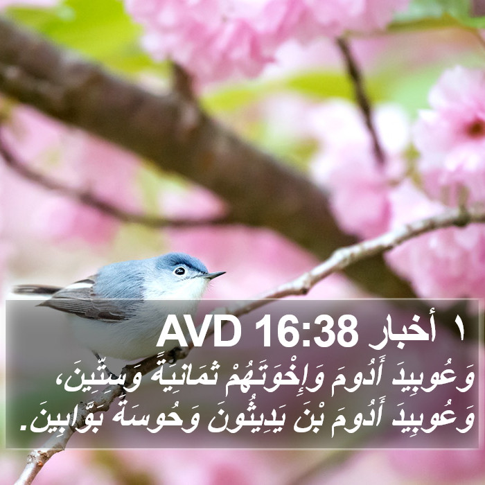 ١ أخبار 16:38 AVD Bible Study