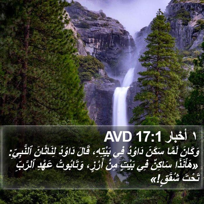 ١ أخبار 17:1 AVD Bible Study