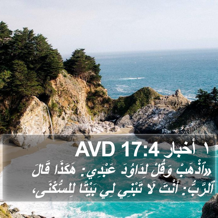 ١ أخبار 17:4 AVD Bible Study