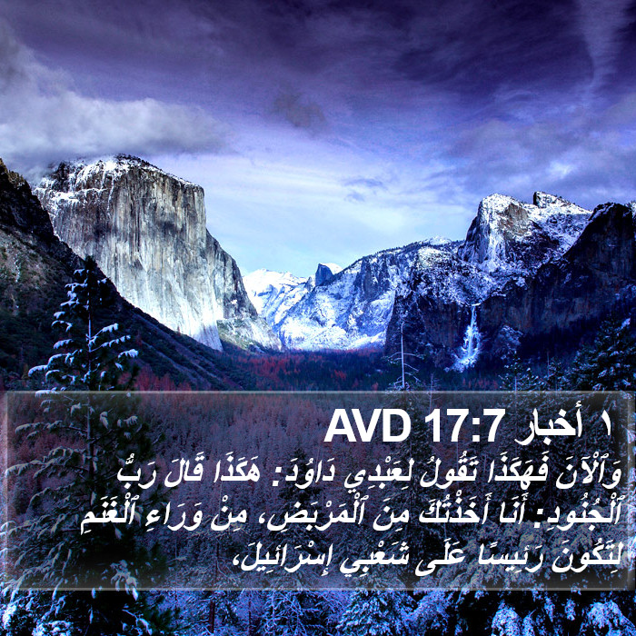 ١ أخبار 17:7 AVD Bible Study