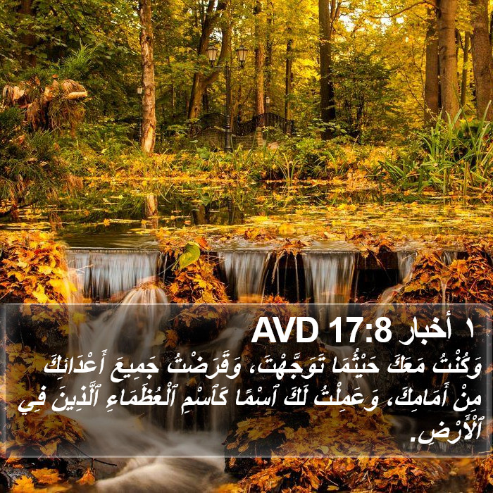 ١ أخبار 17:8 AVD Bible Study