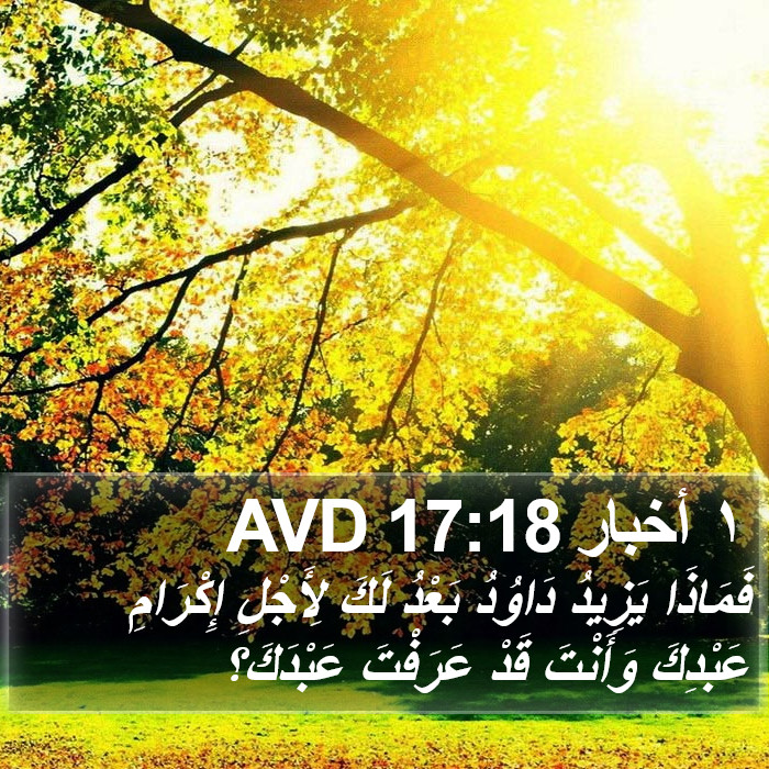 ١ أخبار 17:18 AVD Bible Study