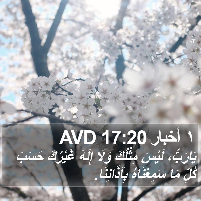 ١ أخبار 17:20 AVD Bible Study