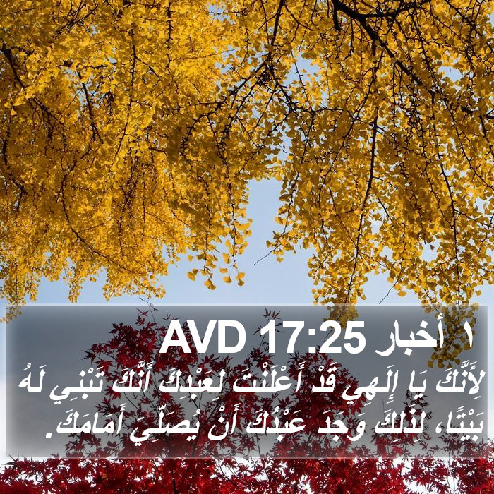 ١ أخبار 17:25 AVD Bible Study