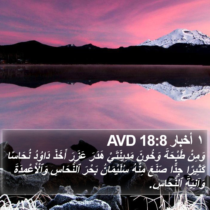 ١ أخبار 18:8 AVD Bible Study
