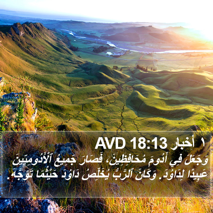 ١ أخبار 18:13 AVD Bible Study