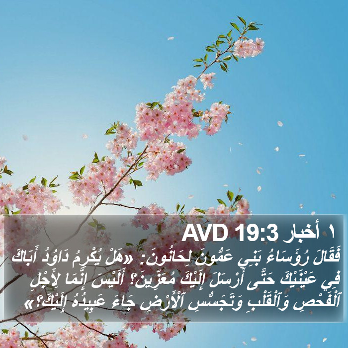 ١ أخبار 19:3 AVD Bible Study