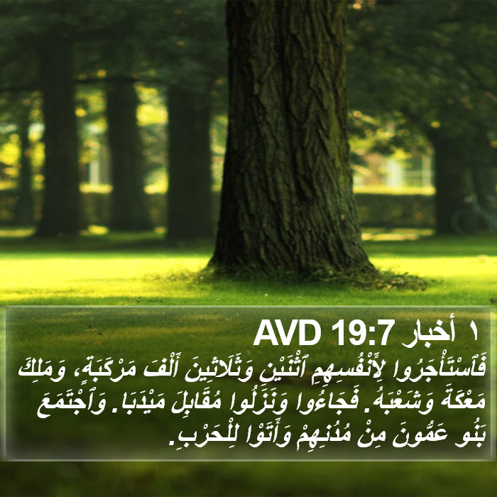 ١ أخبار 19:7 AVD Bible Study