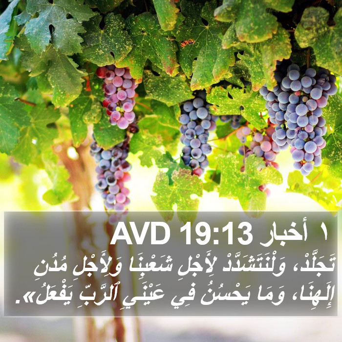 ١ أخبار 19:13 AVD Bible Study