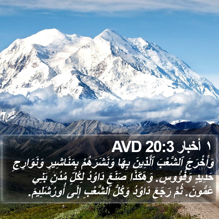 ١ أخبار 20:3 AVD Bible Study