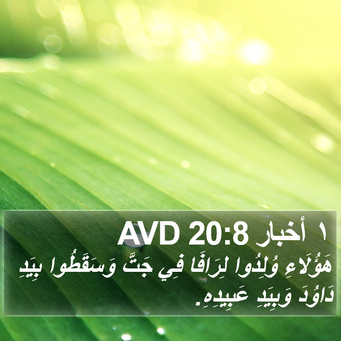١ أخبار 20:8 AVD Bible Study