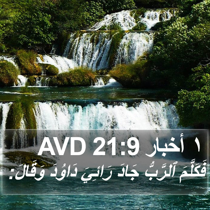 ١ أخبار 21:9 AVD Bible Study