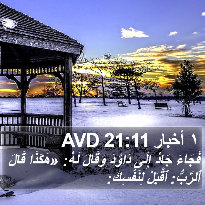 ١ أخبار 21:11 AVD Bible Study