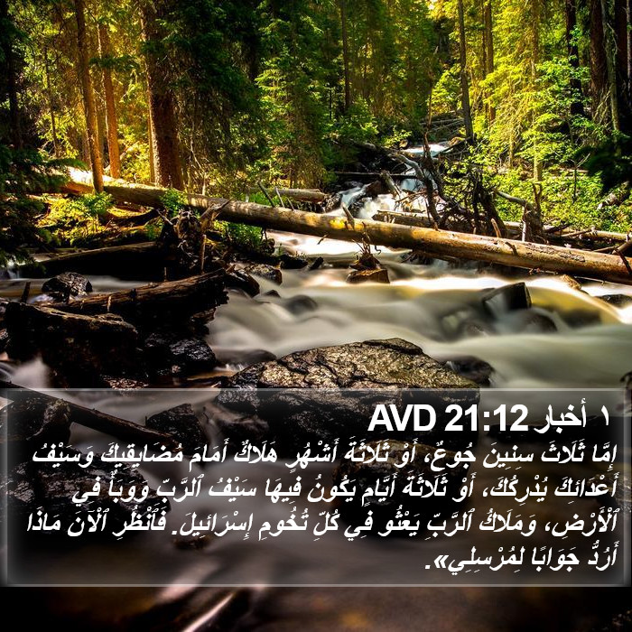 ١ أخبار 21:12 AVD Bible Study