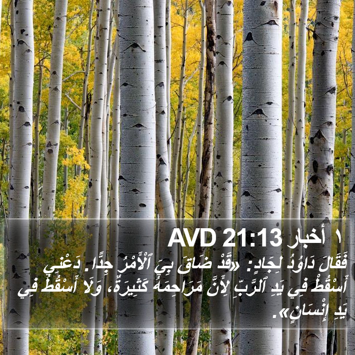 ١ أخبار 21:13 AVD Bible Study