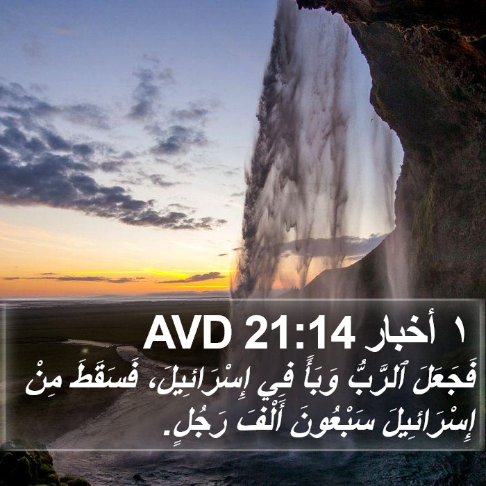 ١ أخبار 21:14 AVD Bible Study