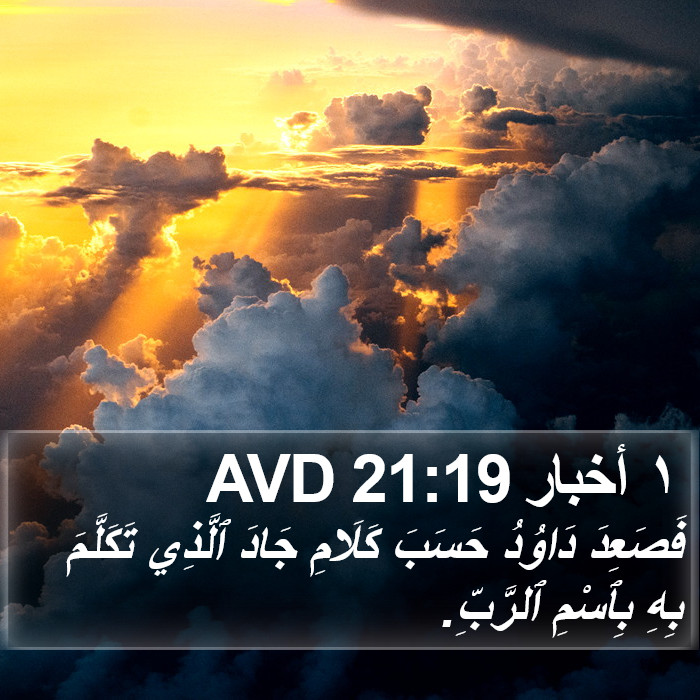 ١ أخبار 21:19 AVD Bible Study
