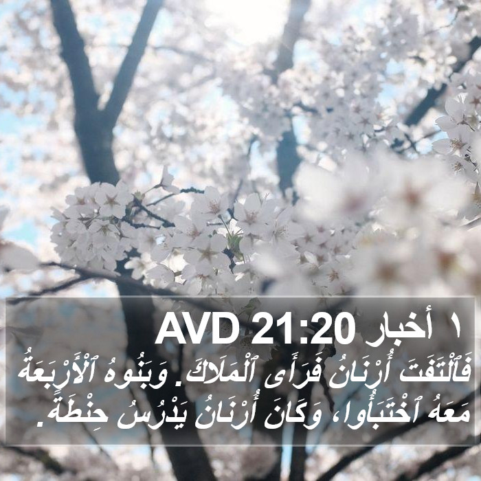 ١ أخبار 21:20 AVD Bible Study