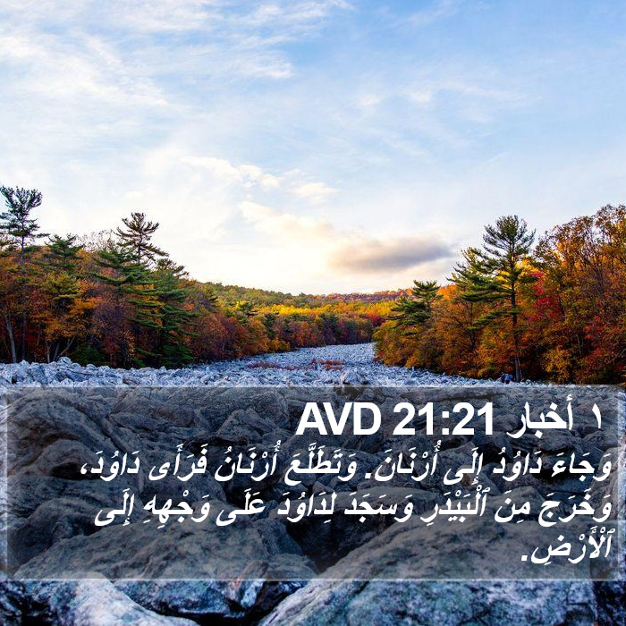 ١ أخبار 21:21 AVD Bible Study