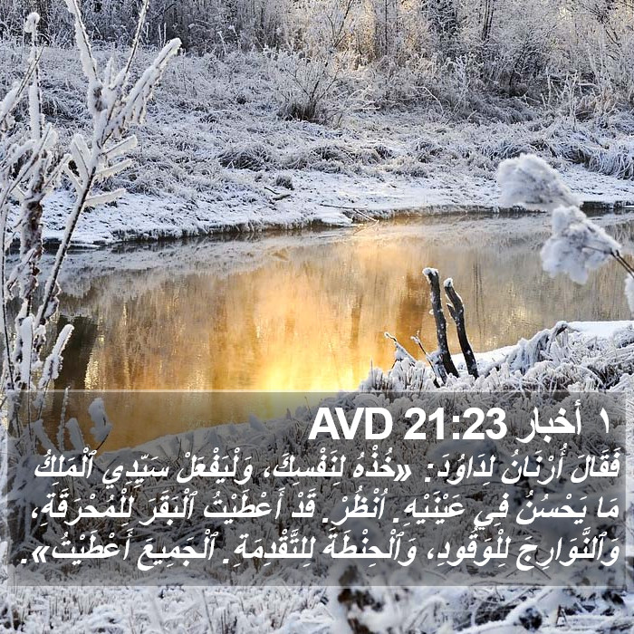 ١ أخبار 21:23 AVD Bible Study