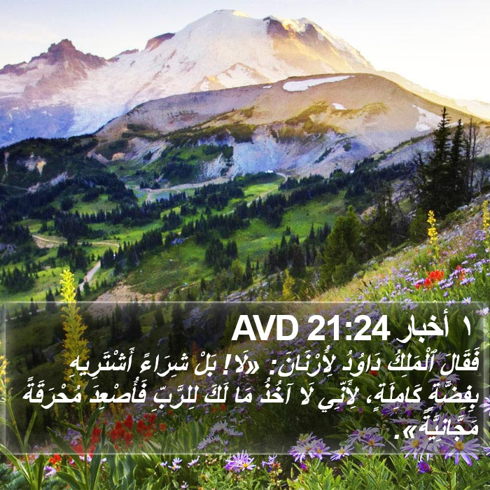 ١ أخبار 21:24 AVD Bible Study