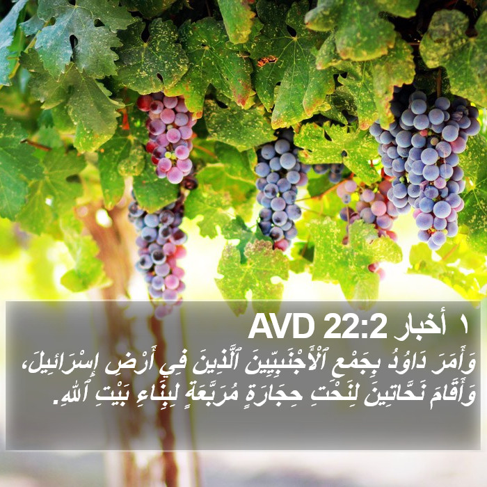 ١ أخبار 22:2 AVD Bible Study