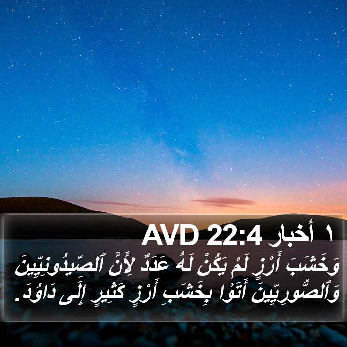 ١ أخبار 22:4 AVD Bible Study