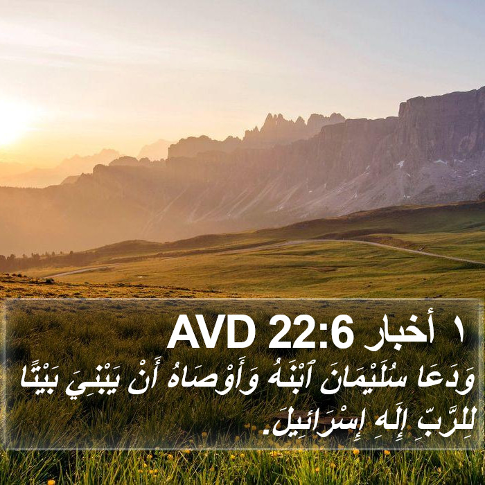 ١ أخبار 22:6 AVD Bible Study