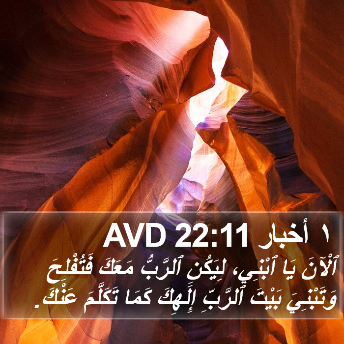 ١ أخبار 22:11 AVD Bible Study