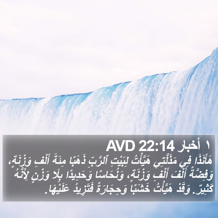 ١ أخبار 22:14 AVD Bible Study