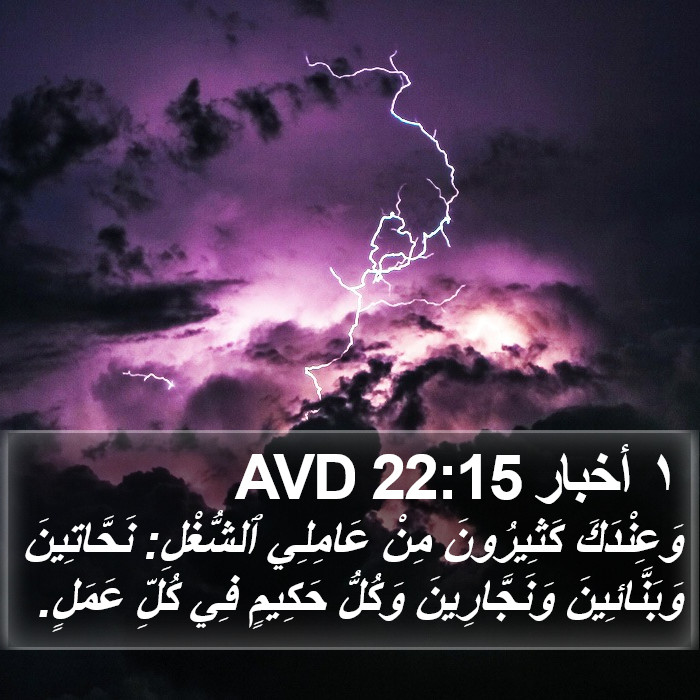 ١ أخبار 22:15 AVD Bible Study