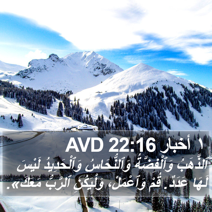 ١ أخبار 22:16 AVD Bible Study