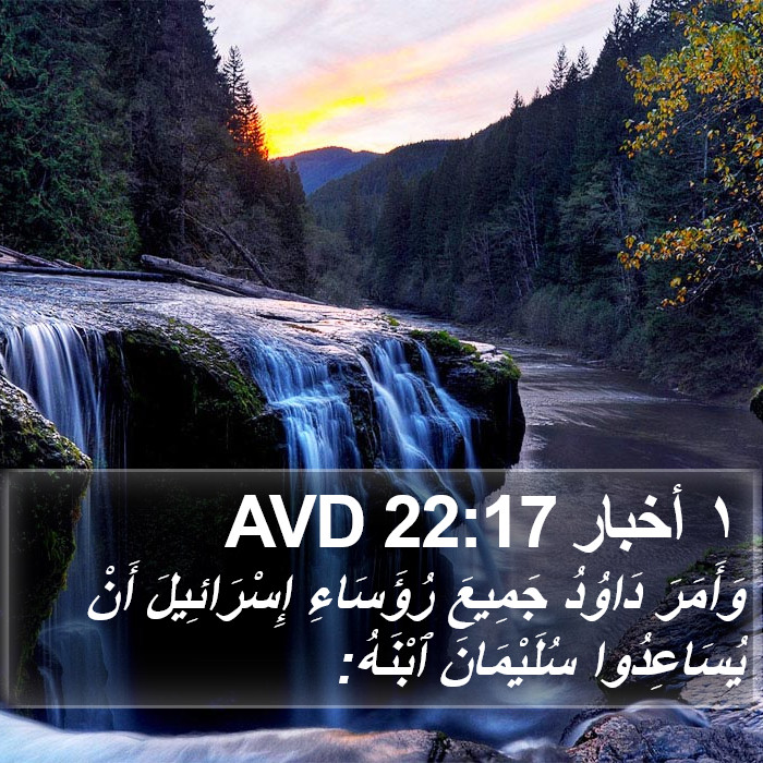 ١ أخبار 22:17 AVD Bible Study