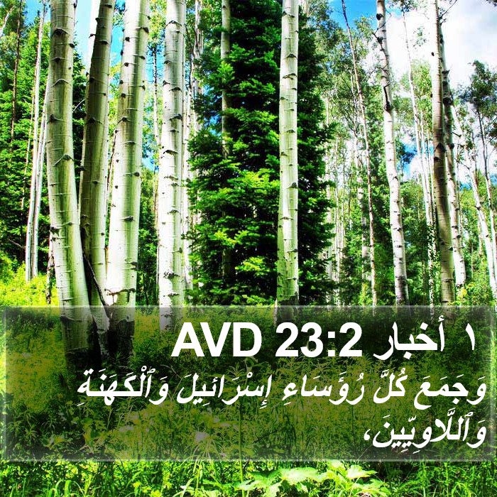١ أخبار 23:2 AVD Bible Study