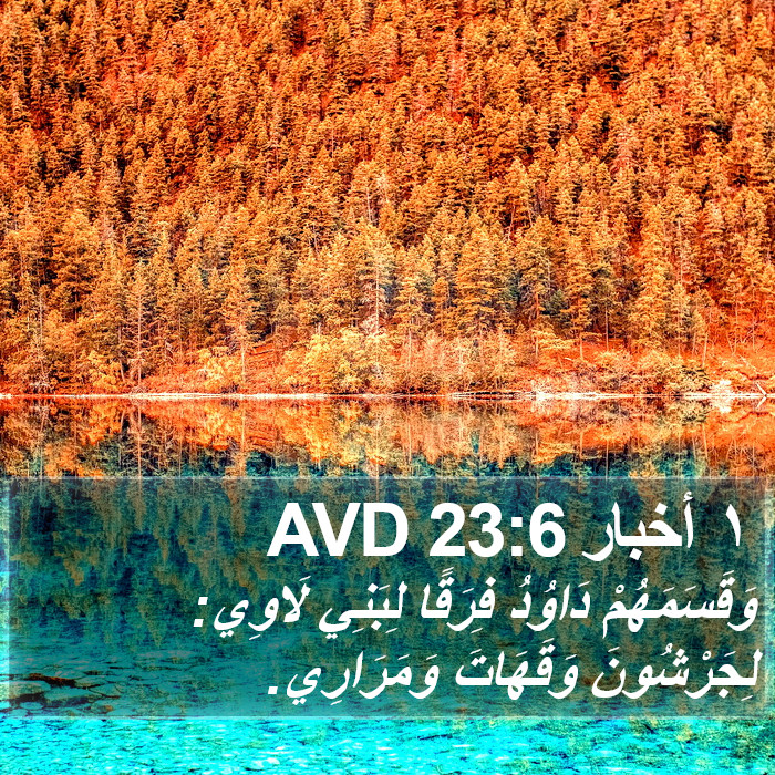 ١ أخبار 23:6 AVD Bible Study