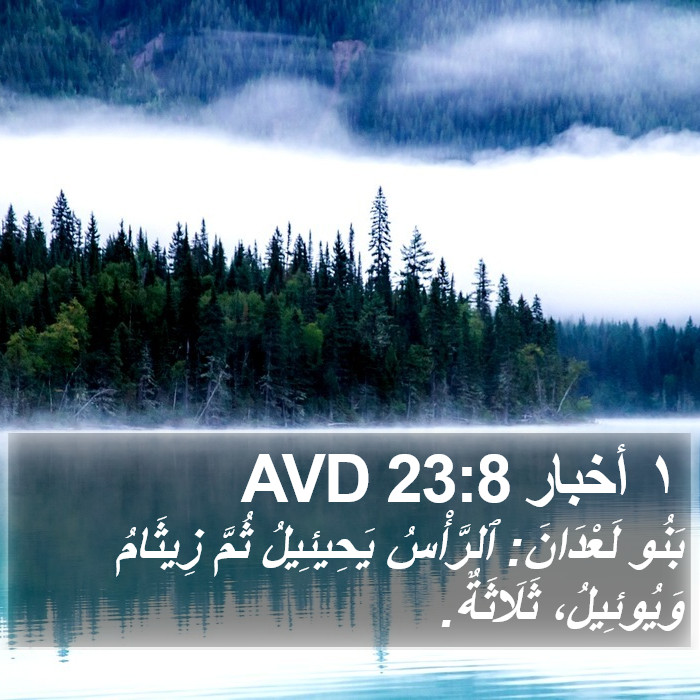 ١ أخبار 23:8 AVD Bible Study