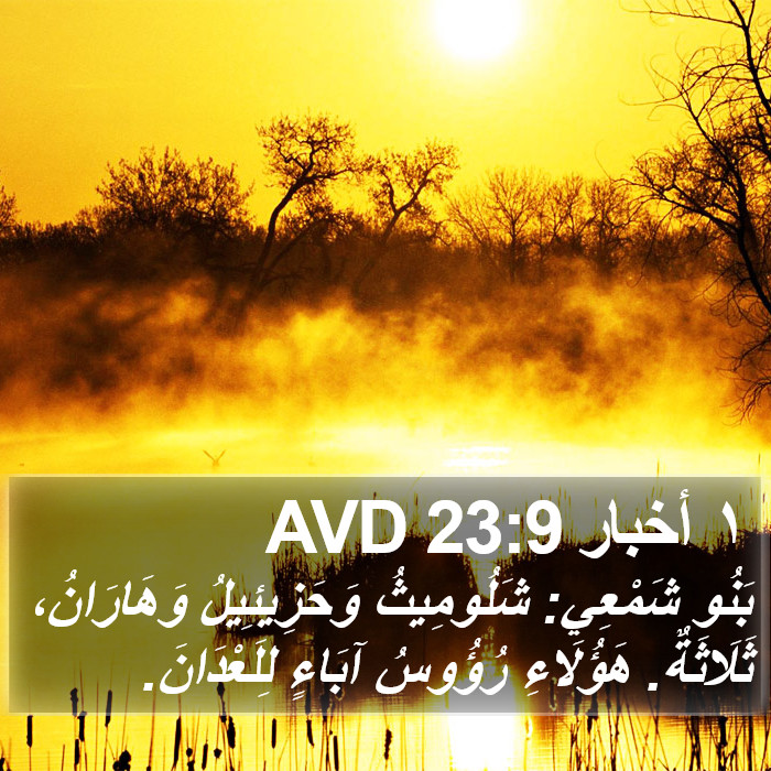 ١ أخبار 23:9 AVD Bible Study